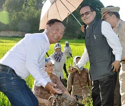 The Governor of Arunachal Pradesh Shri JP Rajkhowa in a paddy cum fish culture farm in Hija Village, Ziro on 17th July 2015